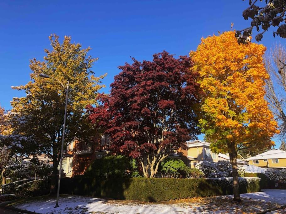 Super Cosy 8bed & 6bath In Heart Near To Airport And Downtown