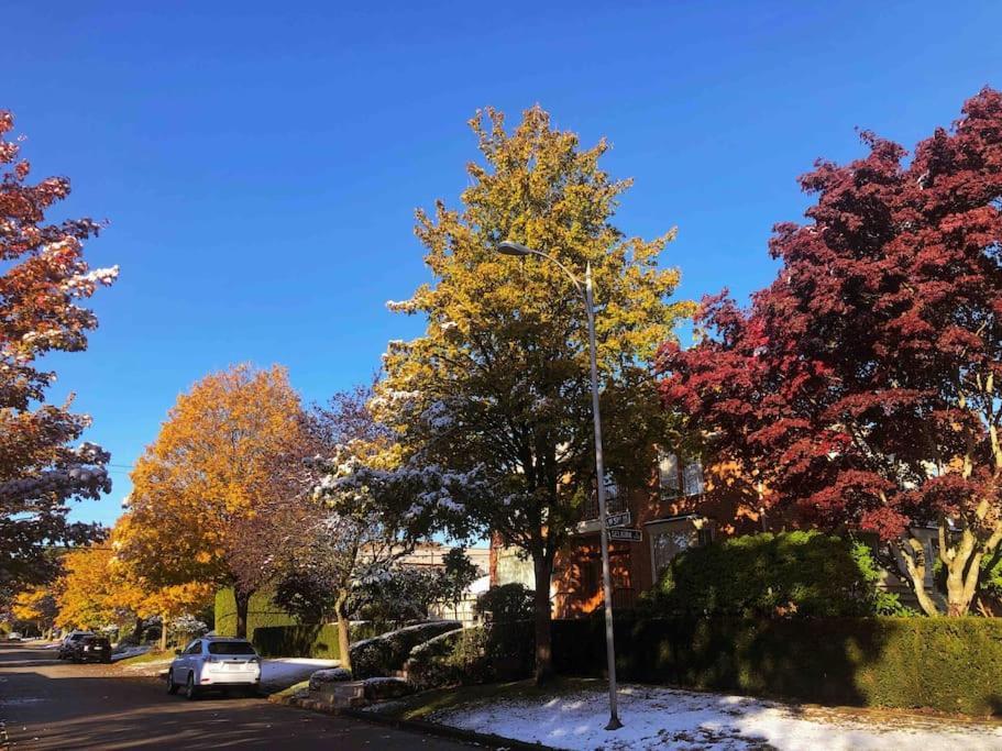 Super Cosy 8bed & 6bath In Heart Near To Airport And Downtown * Vancouver