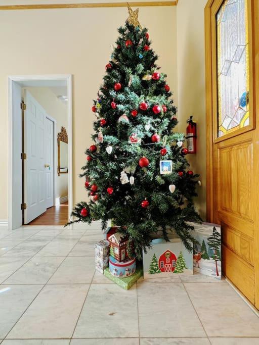 Pousada Super Cosy 8bed & 6bath In Heart Near To Airport And Downtown *