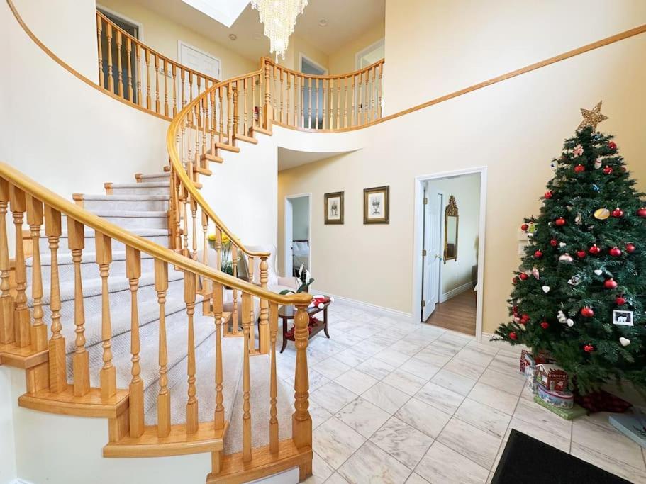 Super Cosy 8bed & 6bath In Heart Near To Airport And Downtown Vancouver