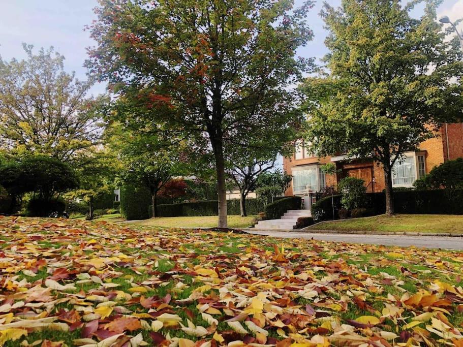 Pousada Super Cosy 8bed & 6bath In Heart Near To Airport And Downtown